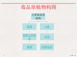 毒品原植物课件.pptx