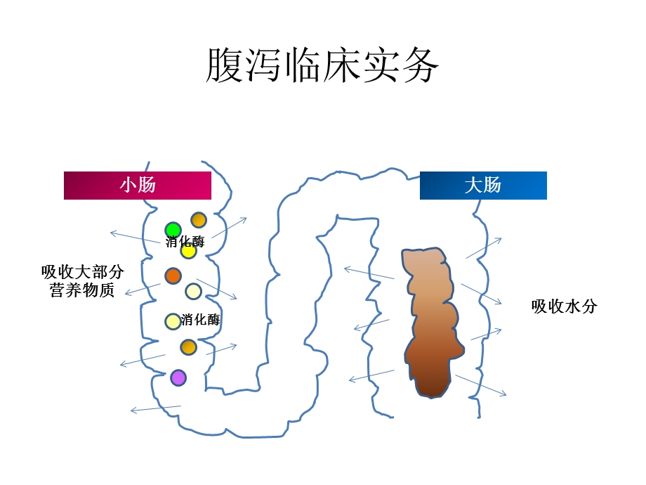 肠道营养培训课件.ppt_第1页