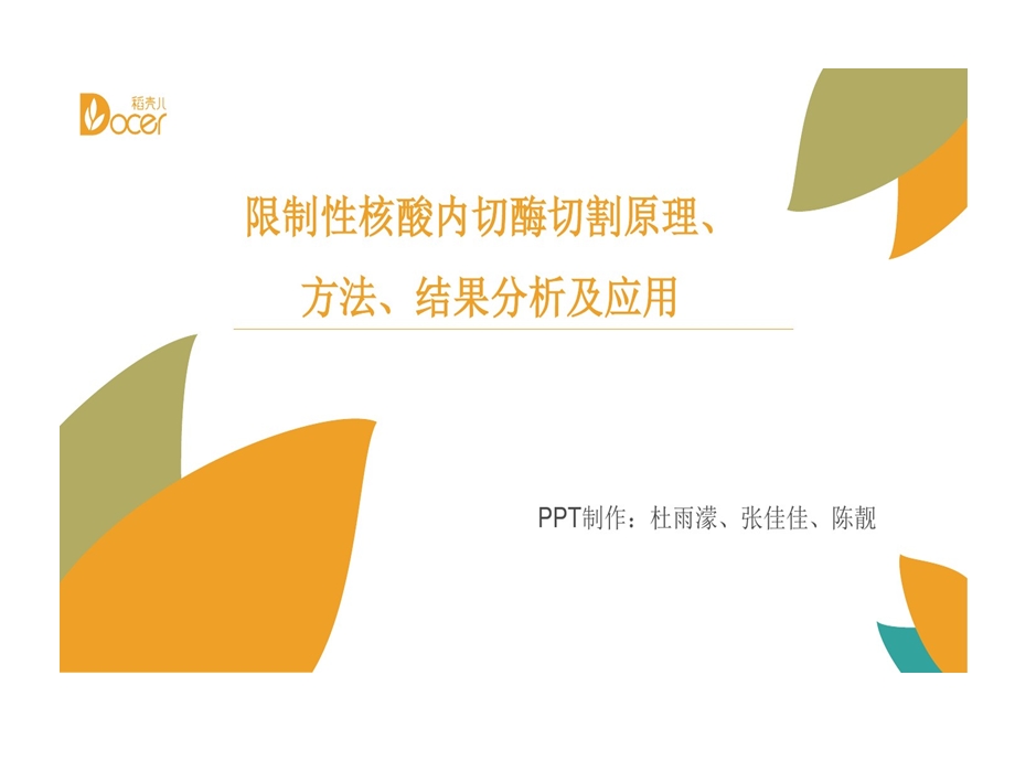 限制性核酸内切酶切割原理的方法的结果分析及的应用课件.ppt_第1页