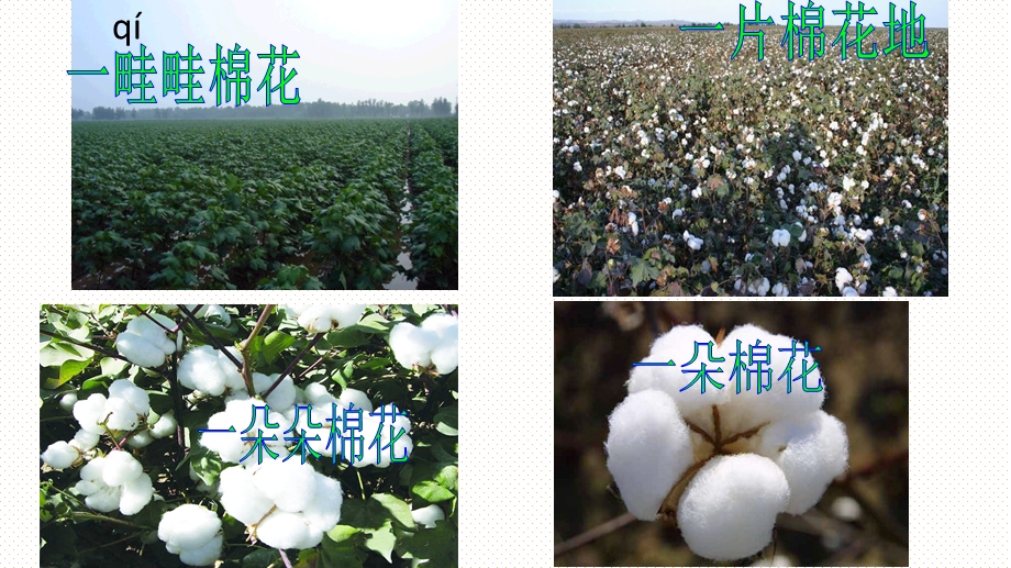 部编版一年级语文下册棉花姑娘课件.ppt_第1页