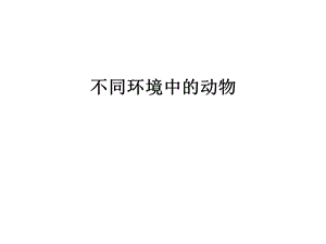 不同环境中的动物课件.ppt