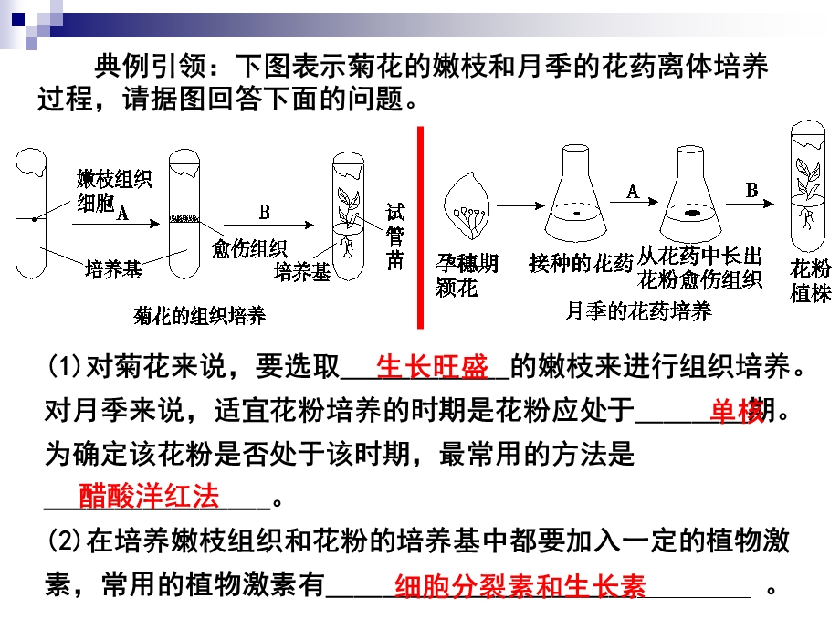 选一考点2、3植物组织培养和有效成分的提取方案课件.ppt_第2页