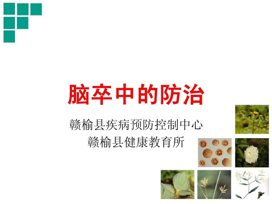 脑卒中防治知识讲座课件.ppt_第1页