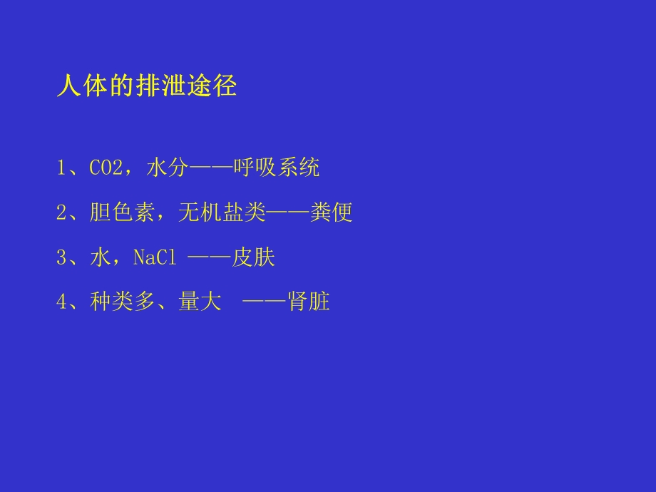 生理学泌尿系统.ppt_第3页