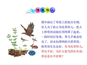 七年级《生物与环境组成生态系统》ppt课件新人教版.ppt