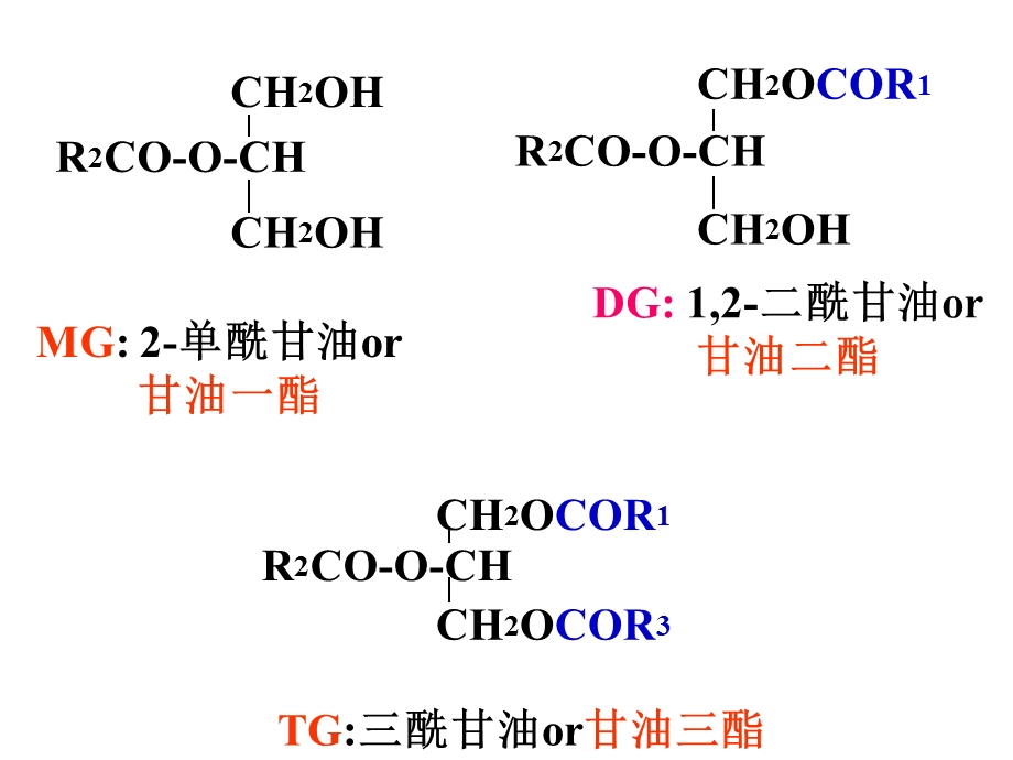 生物化学脂类代谢.ppt_第3页