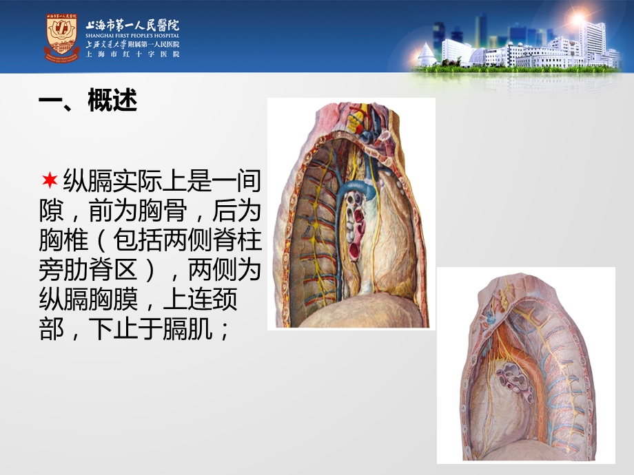 纵膈肿瘤临床表现及围手术期护理课件.ppt_第2页