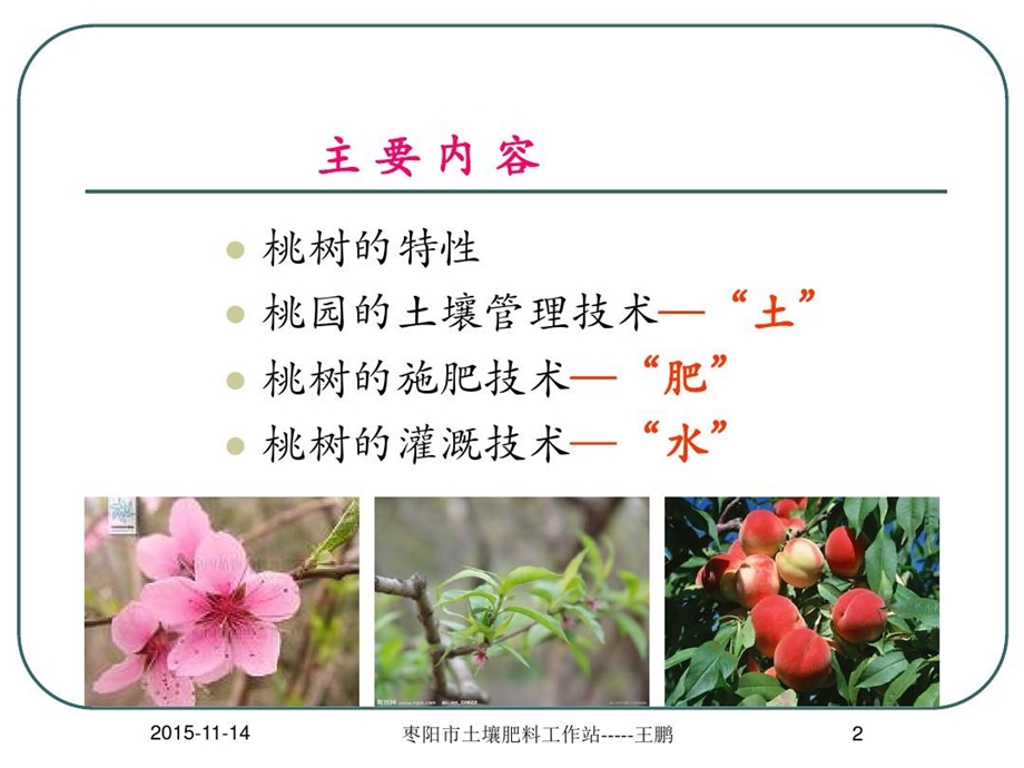 桃树的土肥水管理技术课件.ppt_第3页