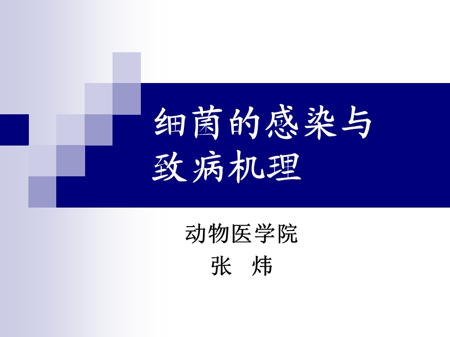 细菌是否有致病性课件.ppt_第1页