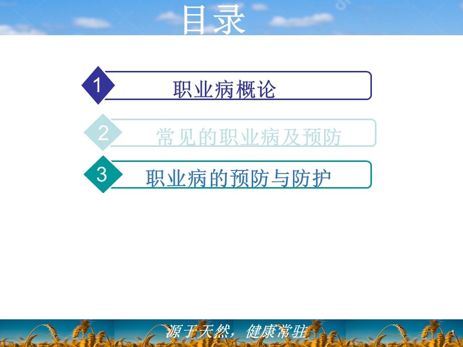 职业卫生健康知识讲解课件.ppt_第2页