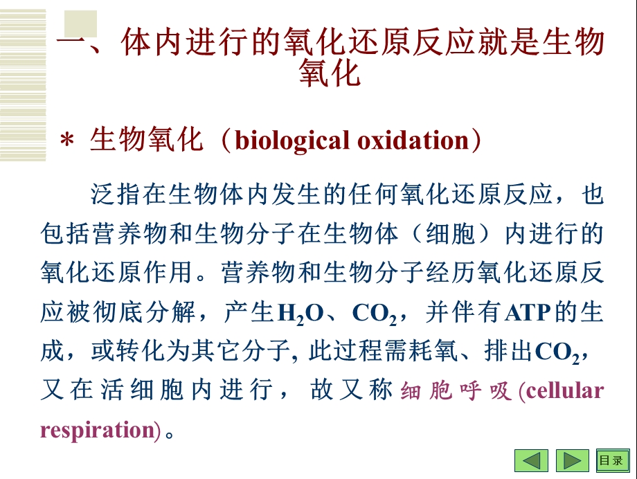 生物化学与分子生物学八年制ppt课件.ppt_第3页