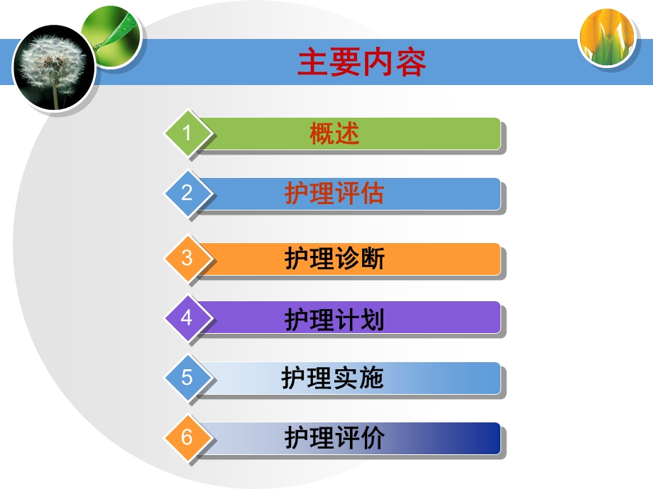 第四章护理程序课件.ppt_第2页