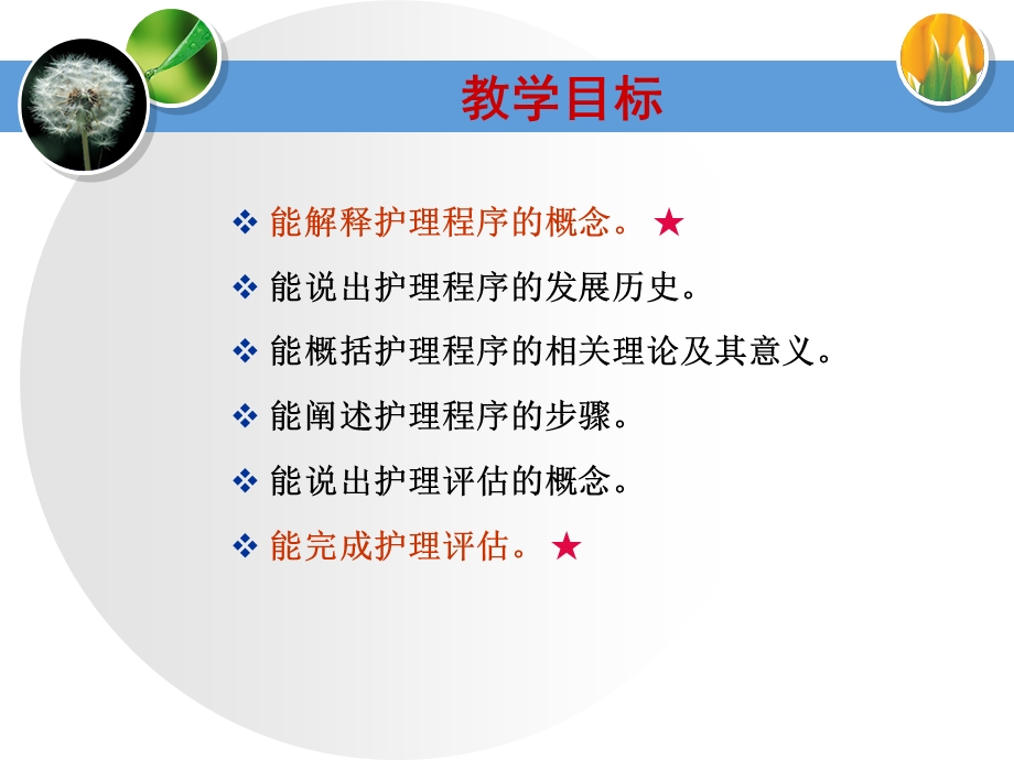 第四章护理程序课件.ppt_第3页