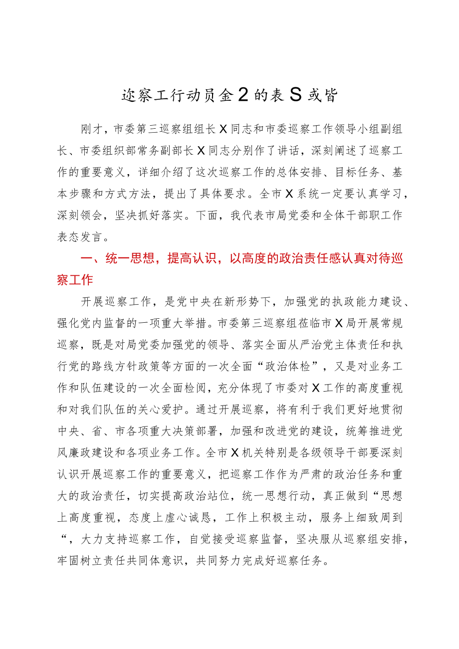 巡察工作动员会上的表态发言.docx_第1页