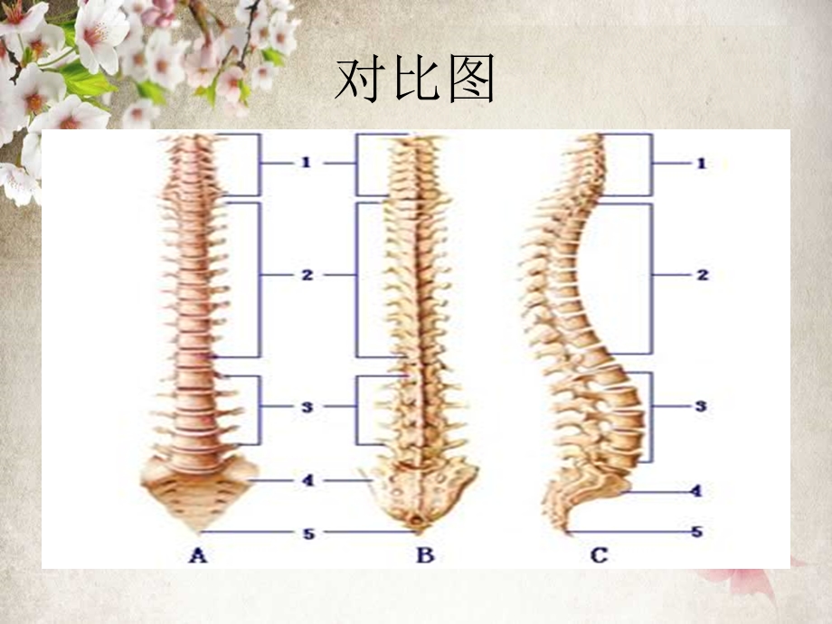 苏教版一年级上册培养良好的学习习惯课件.ppt_第3页