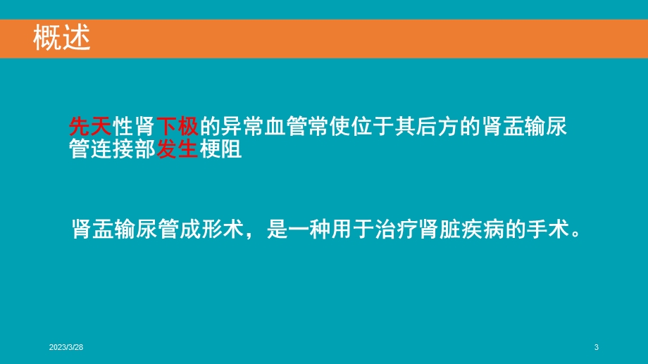 腹腔镜下肾盂输尿管成形术参考ppt课件.ppt_第3页