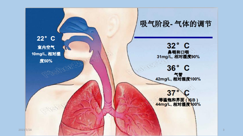 经鼻高流量湿化氧疗参考ppt课件.ppt_第3页