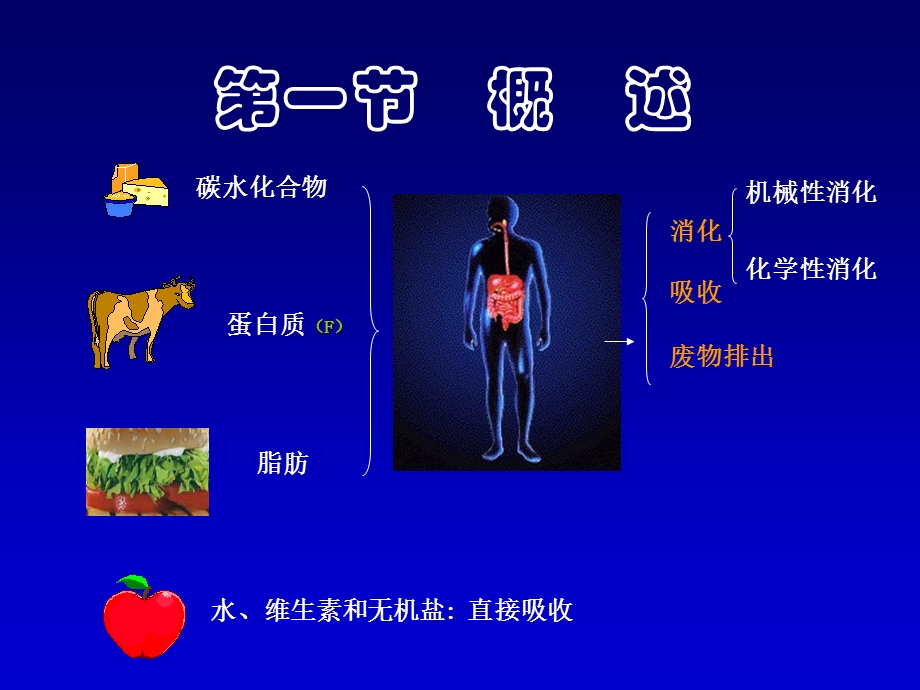 生理学——消化系统.ppt_第2页