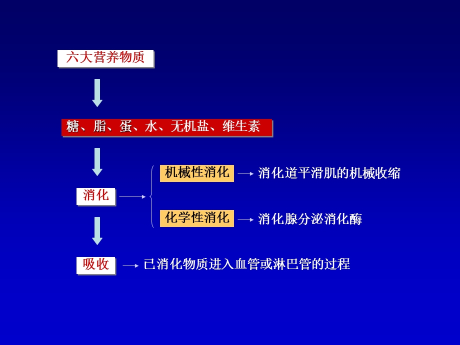 生理学——消化系统.ppt_第3页