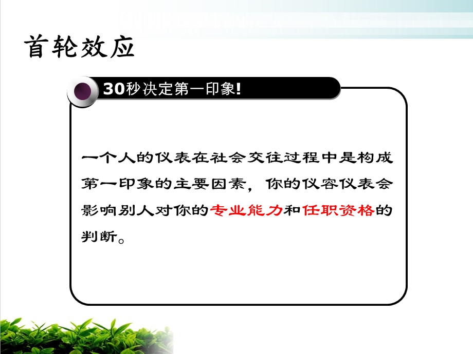 职业形象礼仪培训ppt课件模版.ppt_第2页