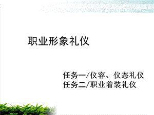 职业形象礼仪培训ppt课件模版.ppt