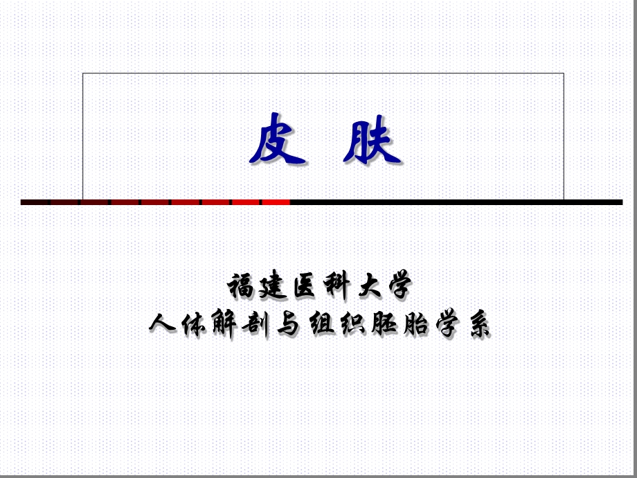 组织学与胚胎学皮肤上课件.ppt_第1页