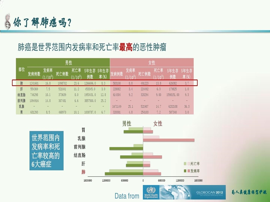 肺癌癌症精准用药基因检测课件.ppt_第2页