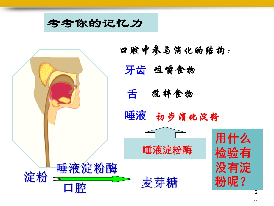 胃和小肠的消化课件.ppt_第2页