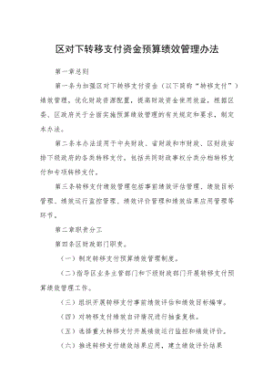 区对下转移支付资金预算绩效管理办法.docx