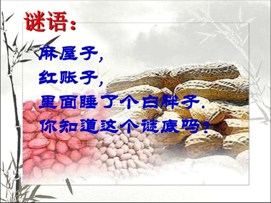 花生的生长发育课件.ppt_第1页