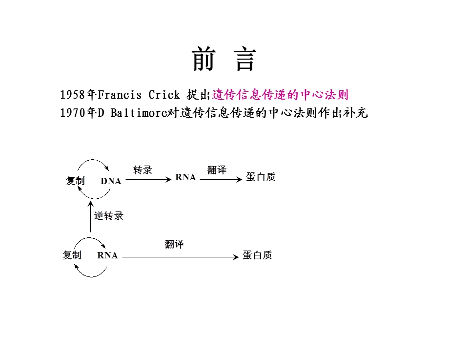 生物化学DNA的生物合成.ppt_第2页