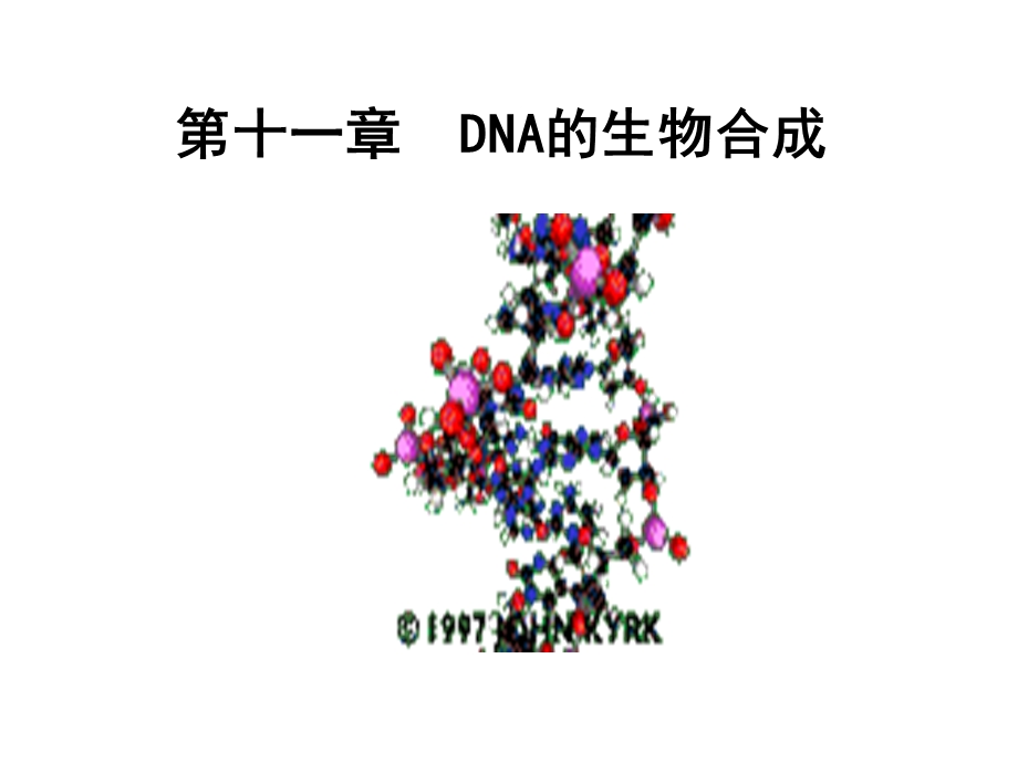 生物化学DNA的生物合成.ppt_第3页