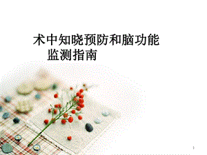 术中知晓预防与脑功能监测指南课件.ppt