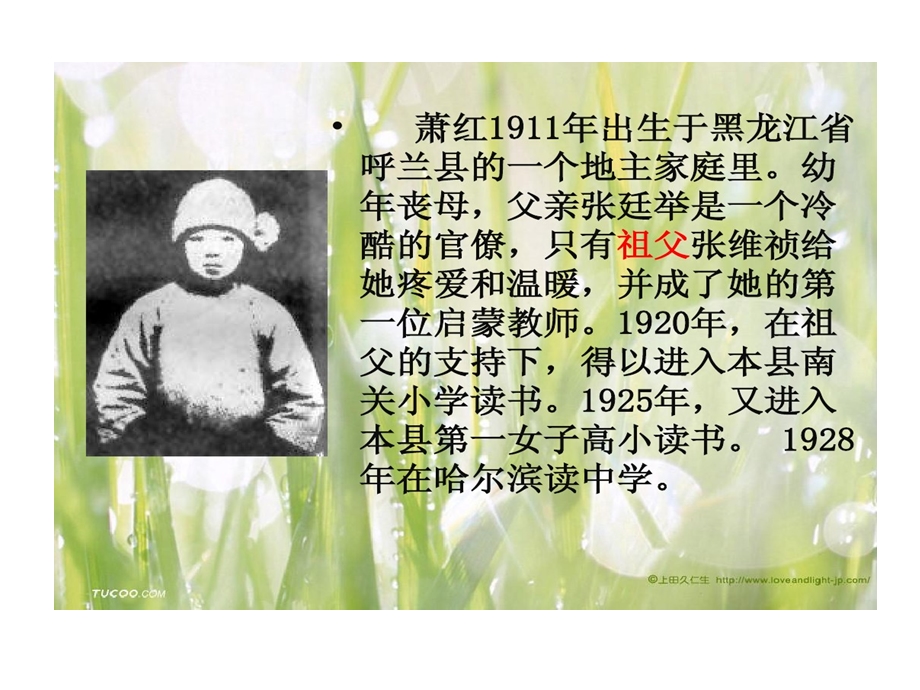 萧红呼兰河传课件.ppt_第3页