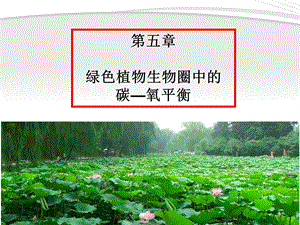 第五章绿色植物与生物圈中的碳氧平衡课件.ppt