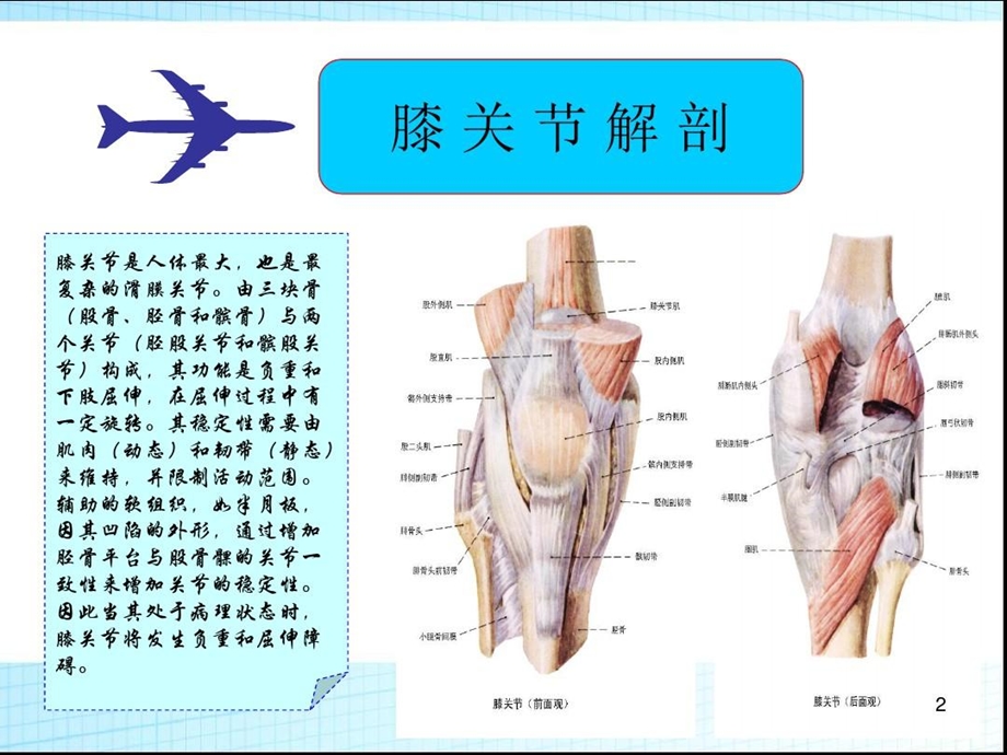 超声可视化下膝部隐神经射频技术PPT参考幻灯片课件.ppt_第2页