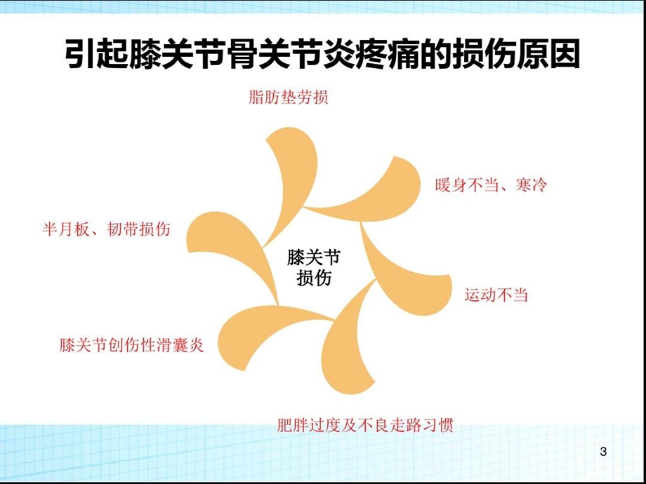 超声可视化下膝部隐神经射频技术PPT参考幻灯片课件.ppt_第3页