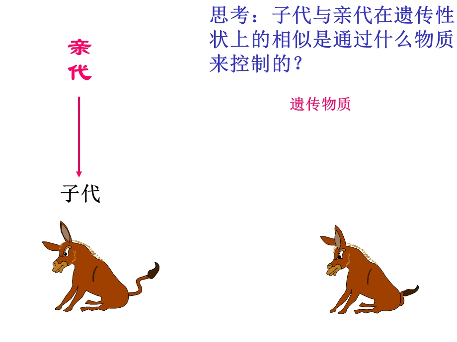 遗传和变异全国生物教师素养大赛一等奖ppt课件.ppt_第3页