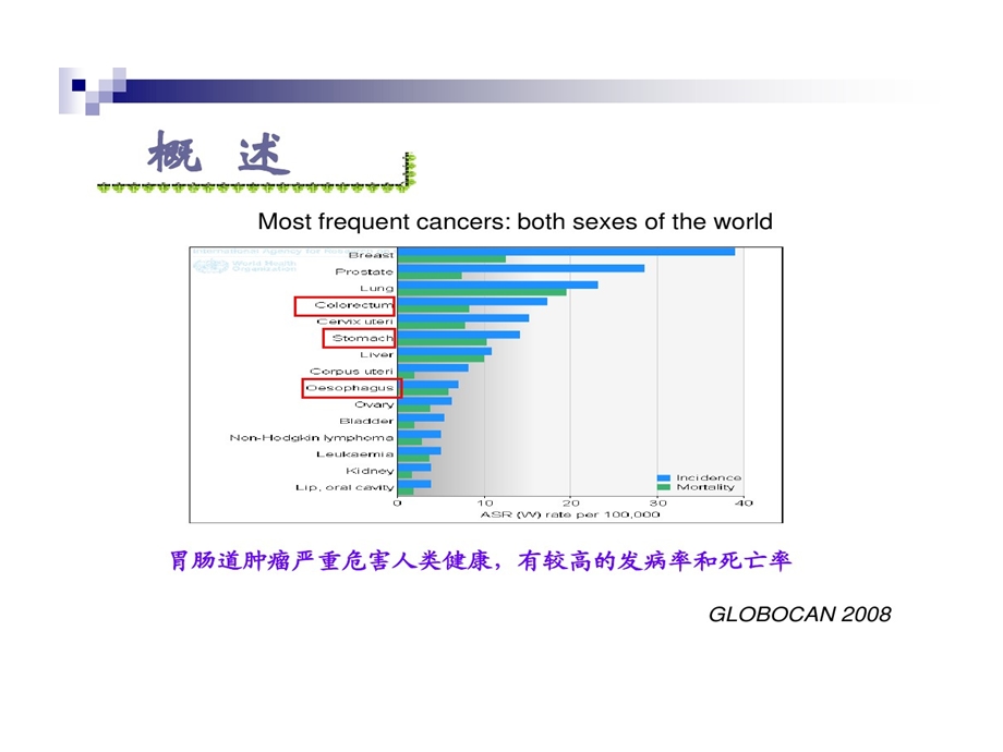 消化道早癌诊治的现状及内镜治疗进展课件.ppt_第3页