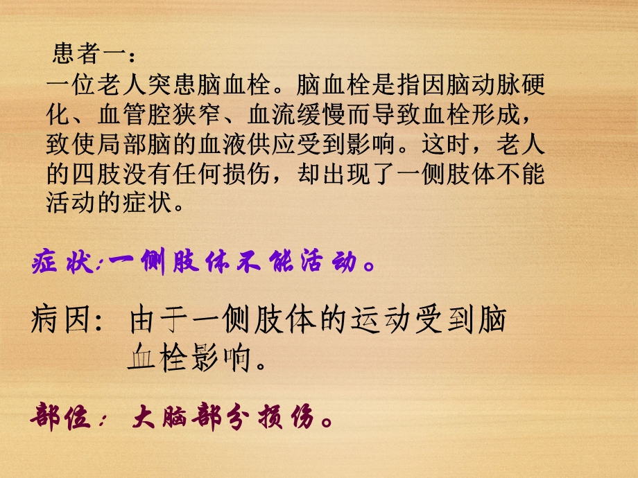 神经系统的组成公开课课件.ppt_第3页