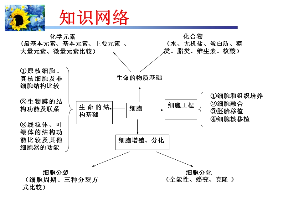 细胞专题中的图表复习资料课件.ppt_第2页