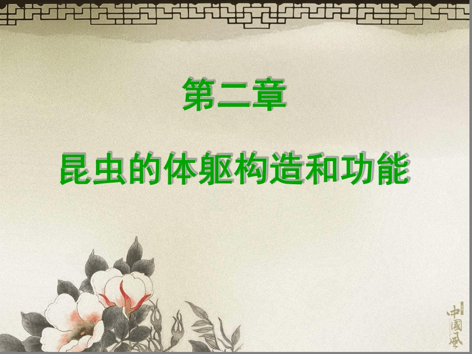 昆虫的身体构造和功能课堂课件.ppt_第1页