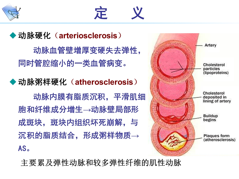 病理生理学AS.ppt_第2页