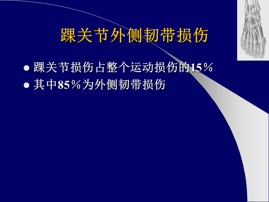 踝关节外侧韧带损伤参考ppt课件.ppt_第2页