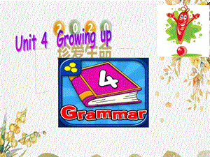 九年级英语上册-Unit-4-Growing-up-Grammarppt课件(新版).ppt