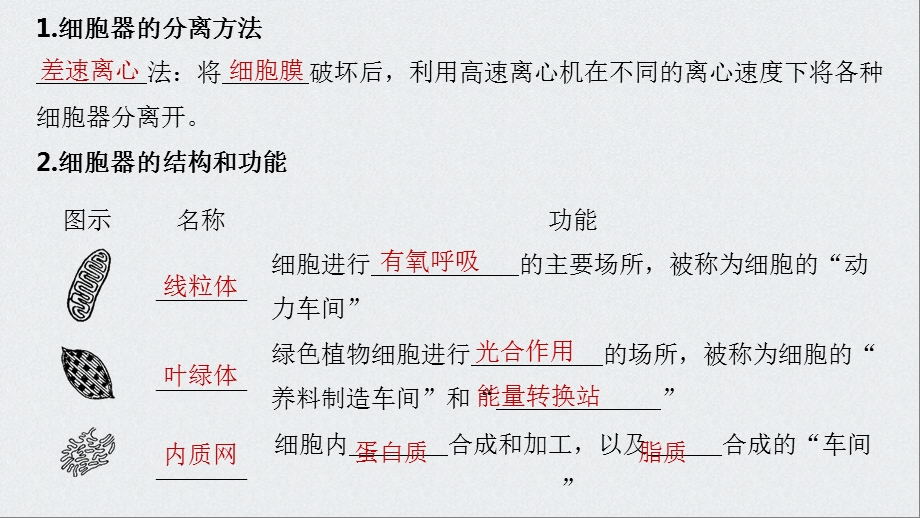 细胞器和生物膜系统课件.ppt_第3页