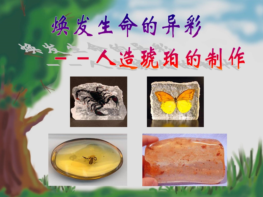 琥珀的制作精品课件.ppt_第1页