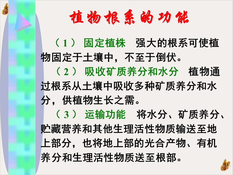 果树根系生理研究的应用培训ppt课件.ppt_第3页