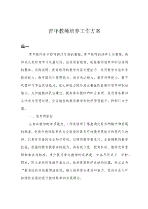 青年教师培养工作方案.docx