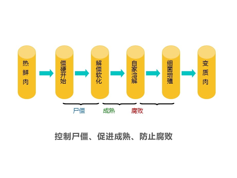 第二章、屠宰后肉的变化及分级技术课件.pptx_第2页